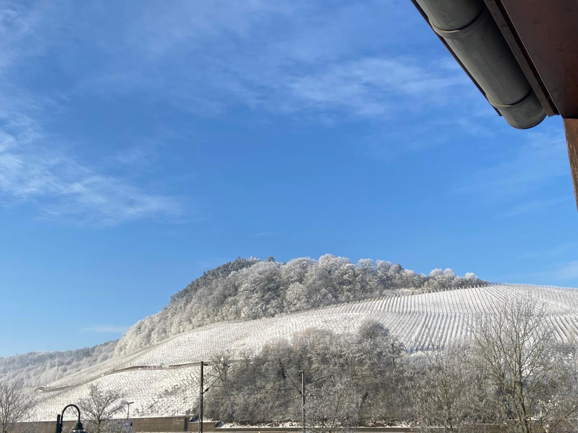 Gaestehaus Und Weingut Bernd Frieden Nittel Kültér fotó