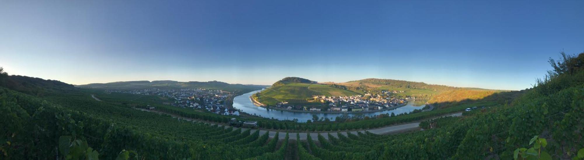 Gaestehaus Und Weingut Bernd Frieden Nittel Kültér fotó
