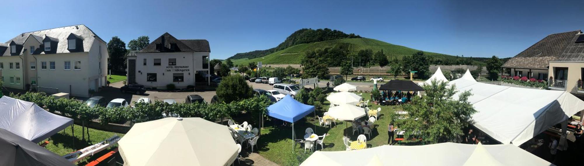 Gaestehaus Und Weingut Bernd Frieden Nittel Kültér fotó